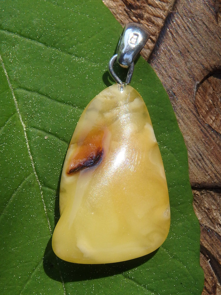 Butterscotch Lithuanian Amber Free Form Pendant Pendant In Sterling Silver (Includes Silver Chain) - Earth Family Crystals