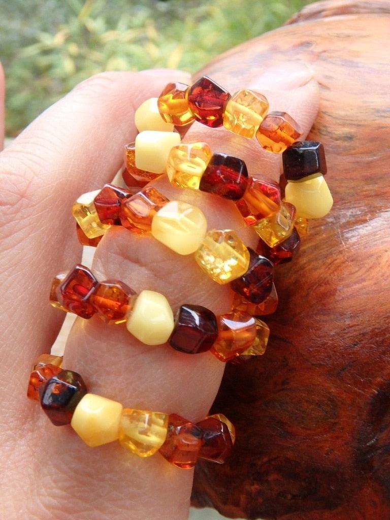 Healing Genuine Baltic Amber Ring on Stretchy Cord (Adjustable- Size 8-10) - Earth Family Crystals