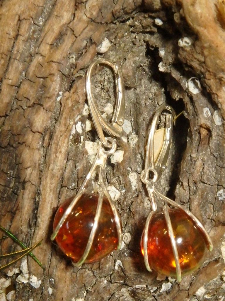 Gorgeous Cognac Baltic Amber Sphere Earrings In Sterling Silver - Earth Family Crystals