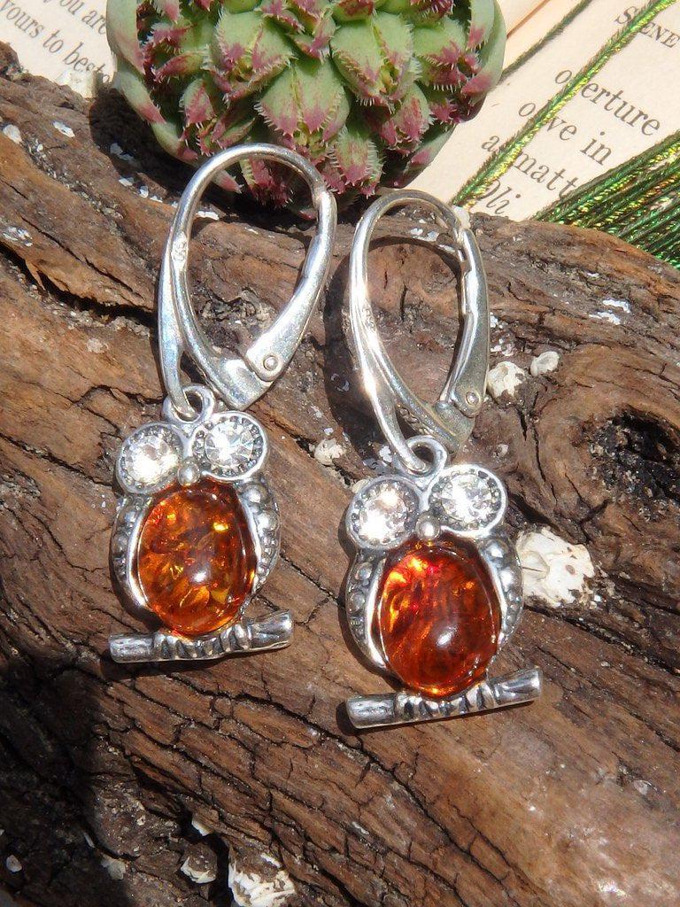 Adorable Baltic Amber Owl Earrings In Sterling Silver - Earth Family Crystals