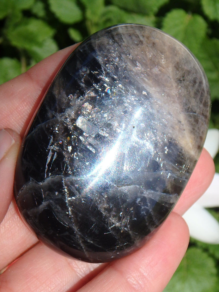 Rainbow Inclusions Black Moonstone Hand Held Specimen From Madagascar - Earth Family Crystals