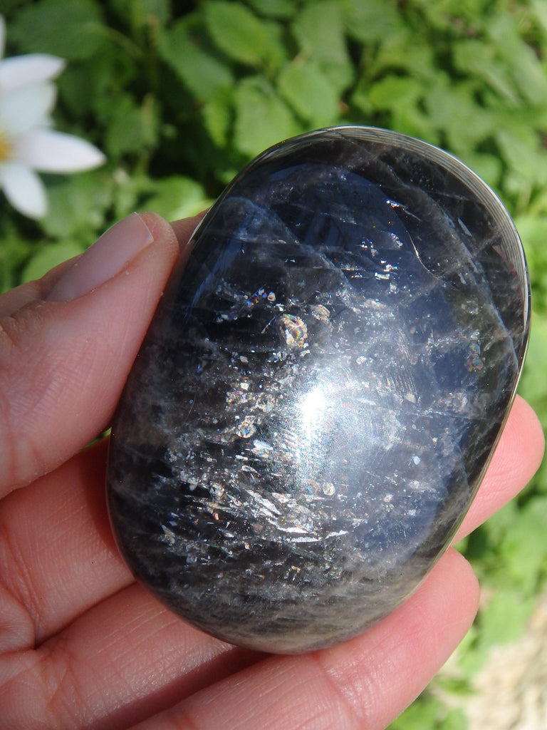 Rainbow Inclusions Black Moonstone Hand Held Specimen From Madagascar - Earth Family Crystals