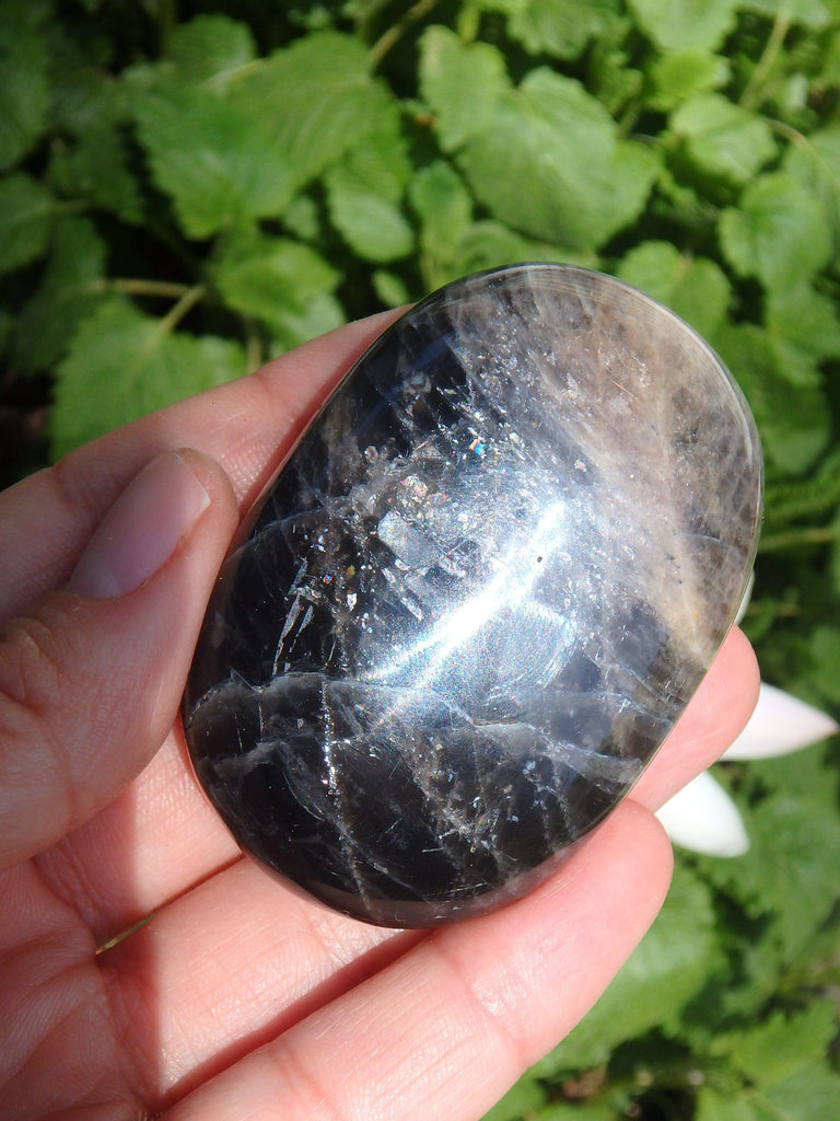 Rainbow Inclusions Black Moonstone Hand Held Specimen From Madagascar - Earth Family Crystals