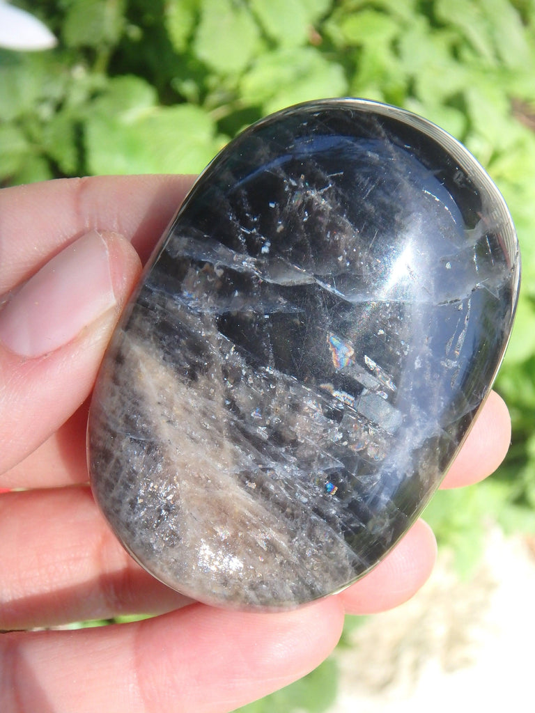 Rainbow Inclusions Black Moonstone Hand Held Specimen From Madagascar - Earth Family Crystals