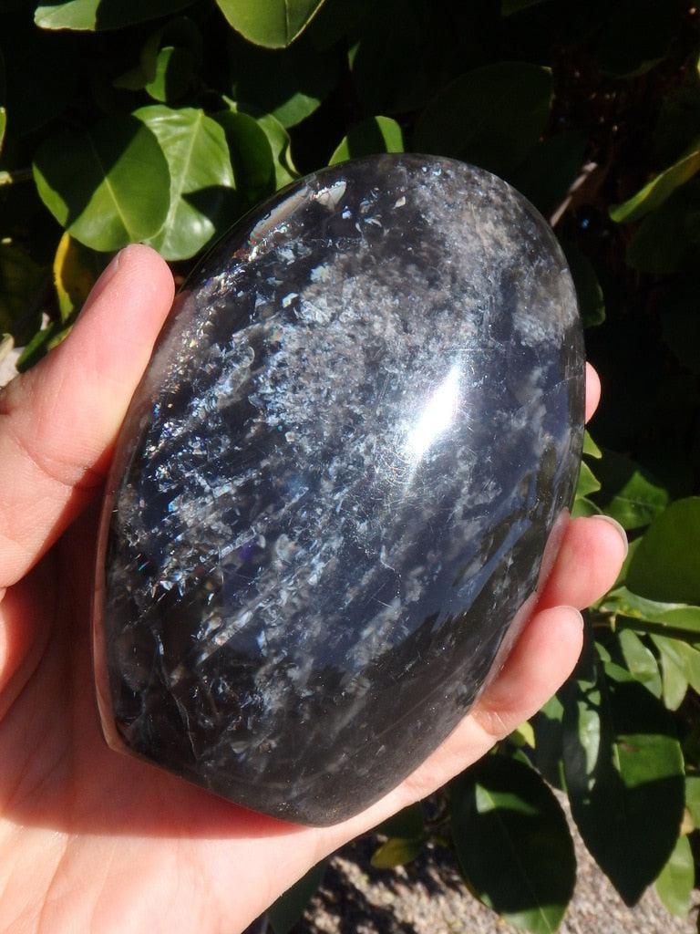 Mysterious Shimmery Black Moonstone Display Specimen - Earth Family Crystals
