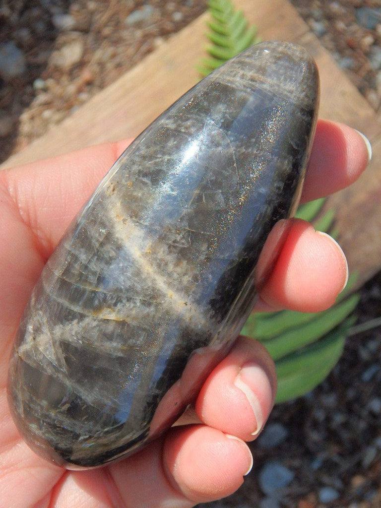 Chunky Black Moonstone Hand Held Polished Wand - Earth Family Crystals