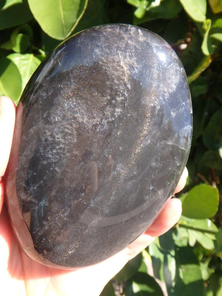 Mysterious Shimmery Black Moonstone Display Specimen - Earth Family Crystals