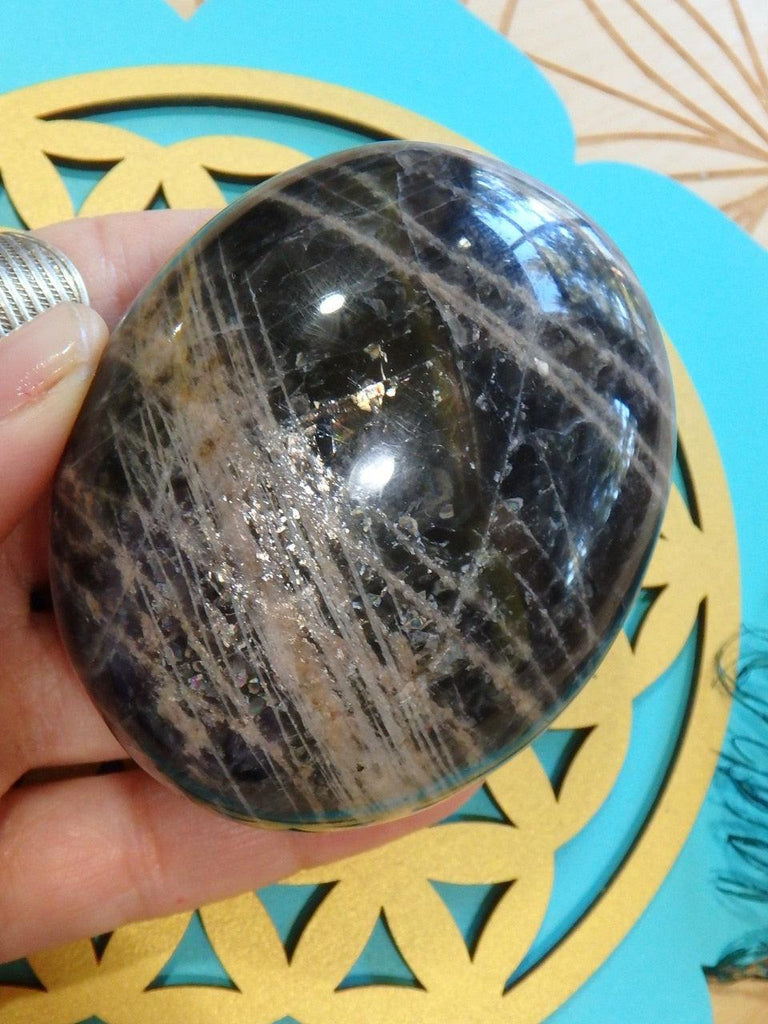 Pretty Flashes Deep Black Moonstone Specimen - Earth Family Crystals