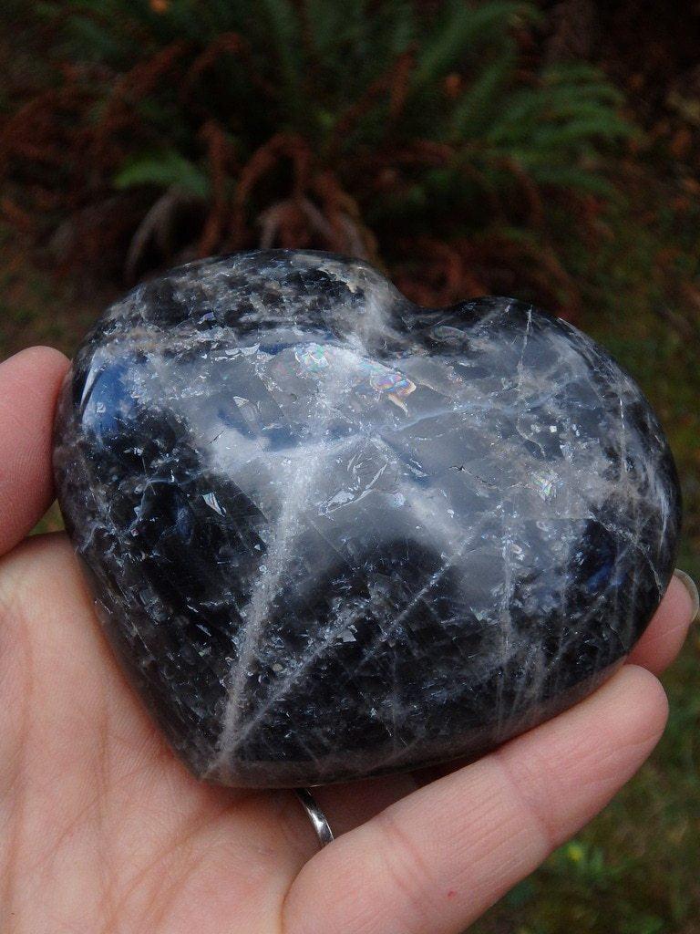 Bold Black Moonstone Heart Carving - Earth Family Crystals