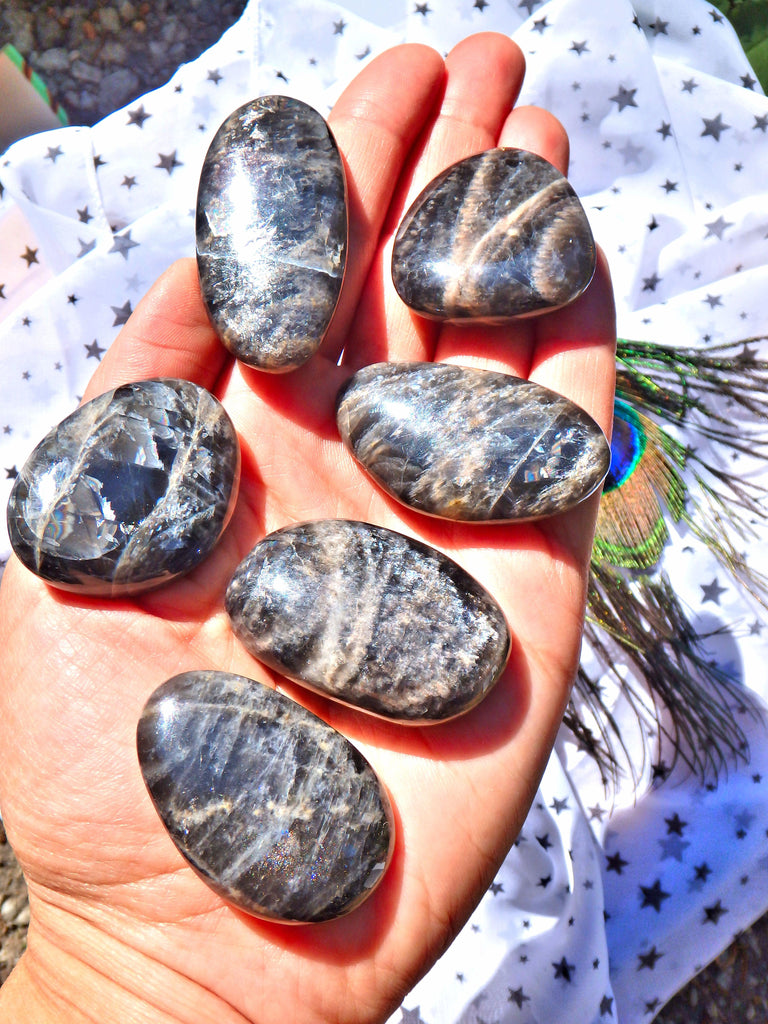 Mysterious Black Moonstone Palm Stone (1) - Earth Family Crystals