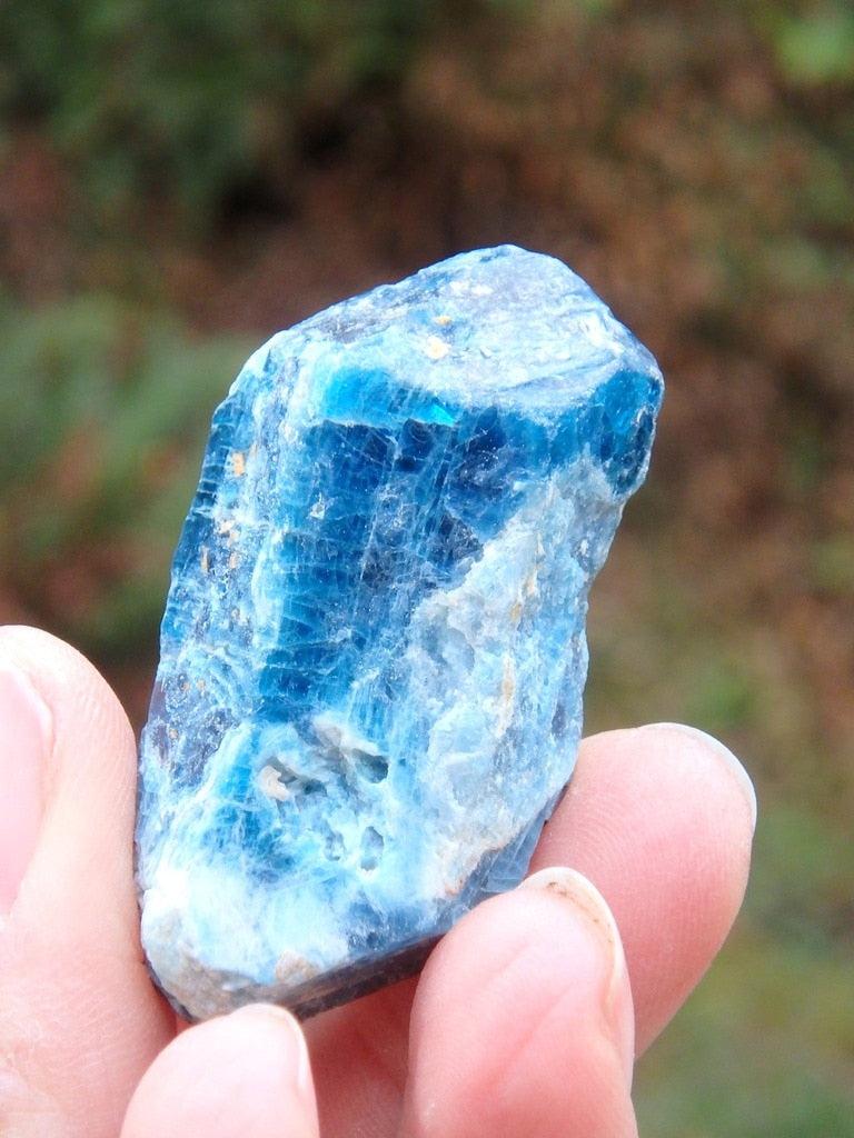 Natural Raw Blue Apatite DT Specimen From Brazil - Earth Family Crystals