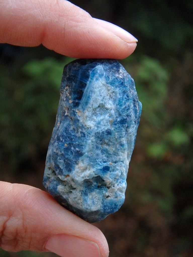 Natural Raw Blue Apatite DT Specimen From Brazil - Earth Family Crystals