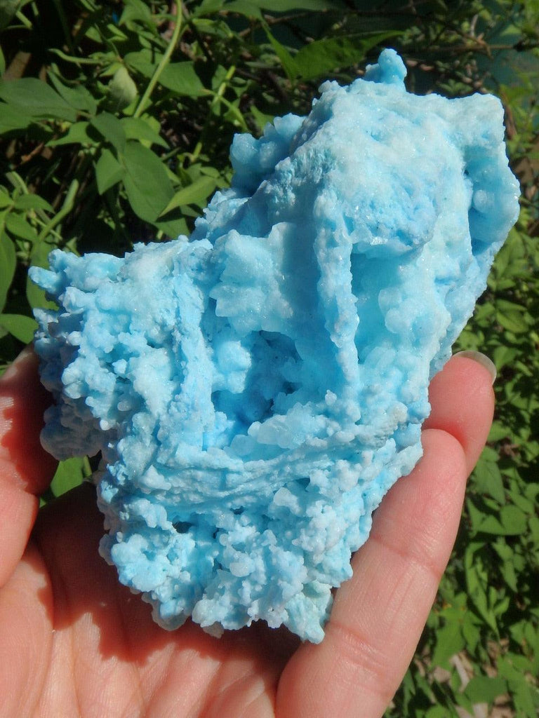 Incredible Color! Large Natural Blue Aragonite Specimen With Caves - Earth Family Crystals