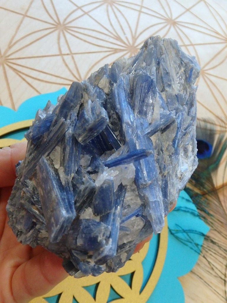 Fascinating Large Blades of Blue Kyanite Cluster From Brazil - Earth Family Crystals