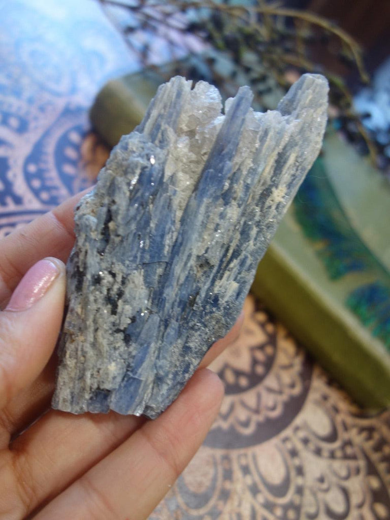 Wonderful Blue Kyanite Cluster From Brazil 2 - Earth Family Crystals