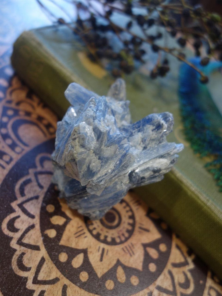 Wonderful Blue Kyanite Cluster From Brazil 1 - Earth Family Crystals