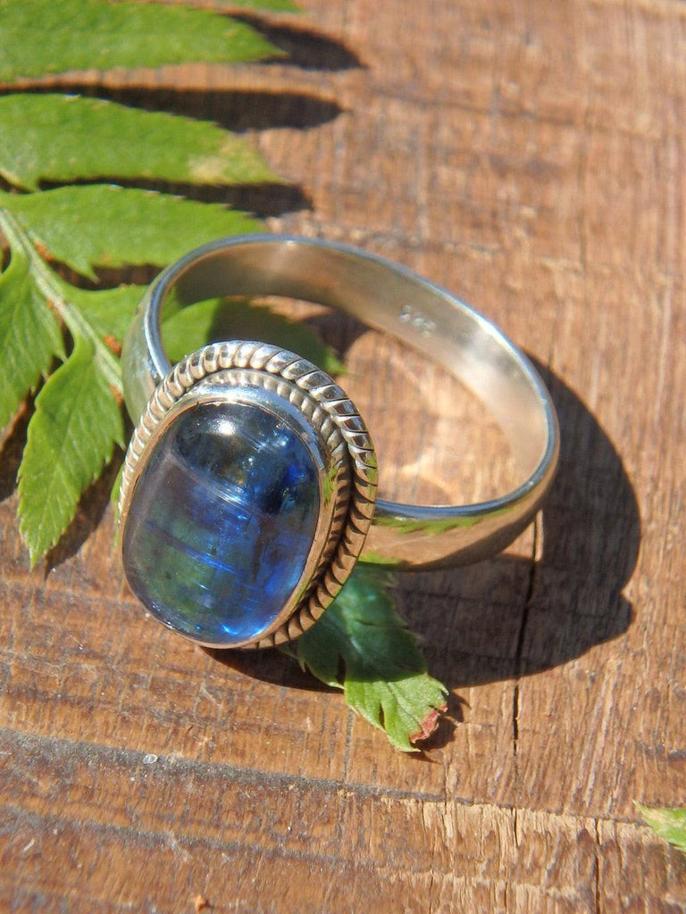 Gemmy Deep Cobalt Blue Kyanite Ring in Sterling Silver (Size 10) - Earth Family Crystals