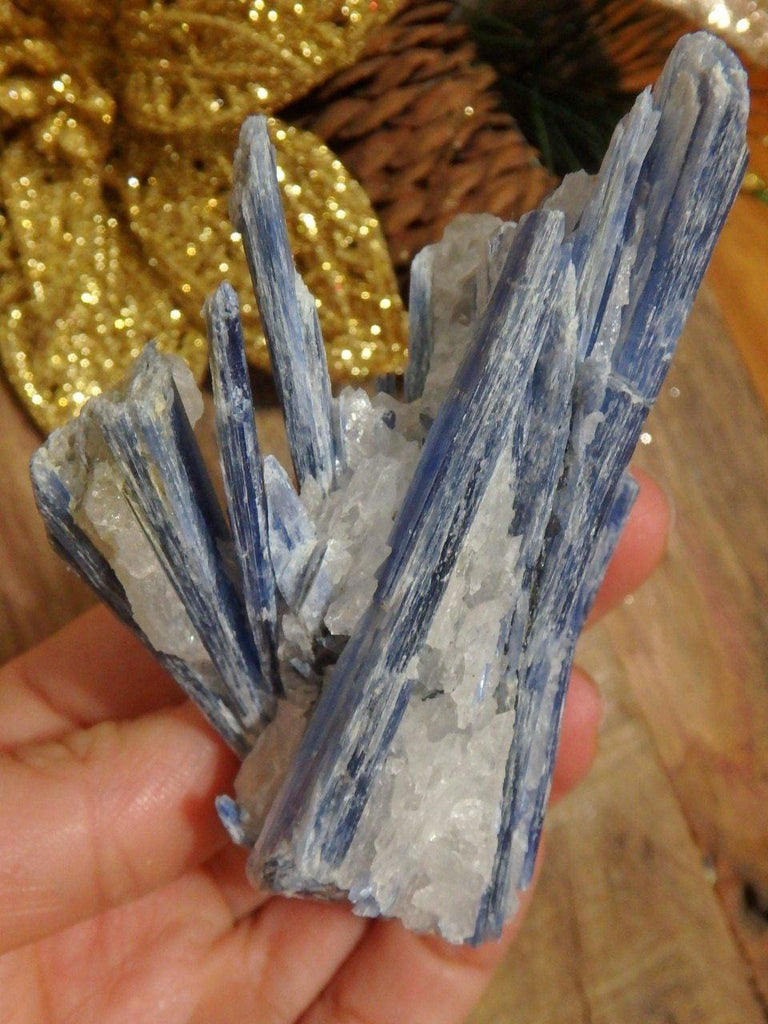 Blades of Blue Kyanite & Quartz Cluster From Brazil 1 - Earth Family Crystals