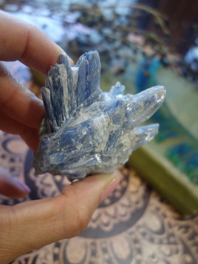 Wonderful Blue Kyanite Cluster From Brazil 1 - Earth Family Crystals