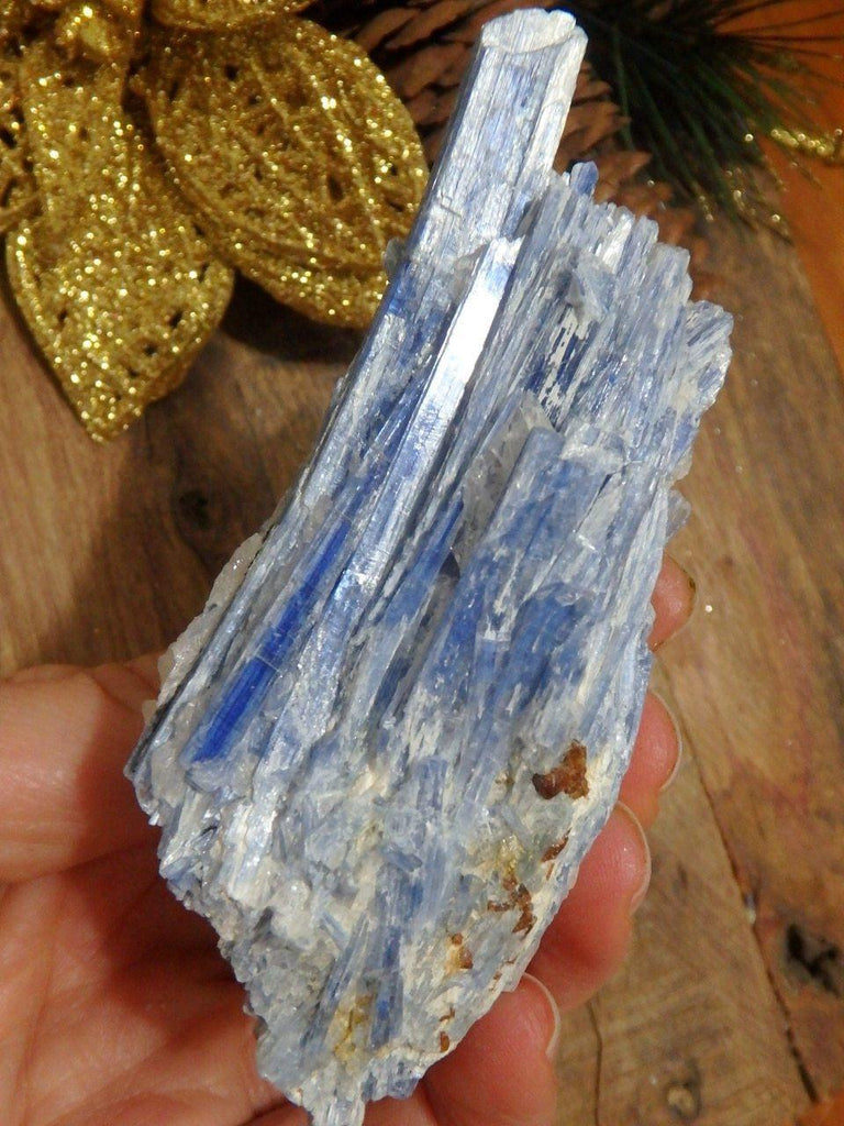 Blades of Blue Kyanite & Quartz Cluster From Brazil 1 - Earth Family Crystals