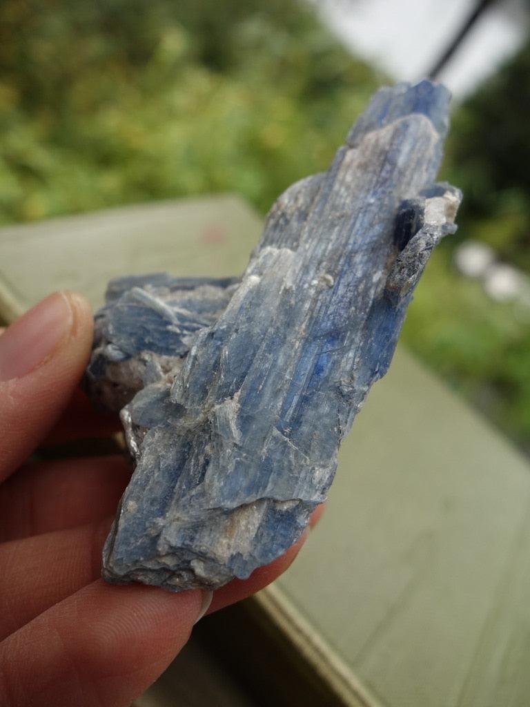 Pretty Blue Kyanite Blades & Quartz Cluster - Earth Family Crystals