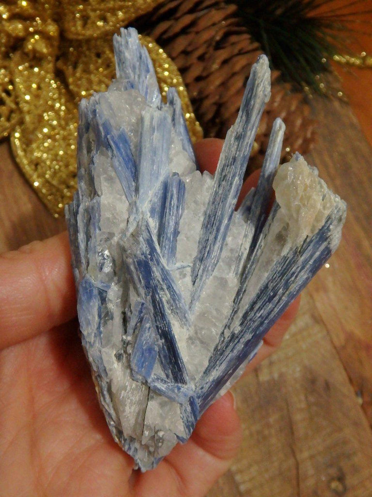 Blades of Blue Kyanite & Quartz Cluster From Brazil 1 - Earth Family Crystals