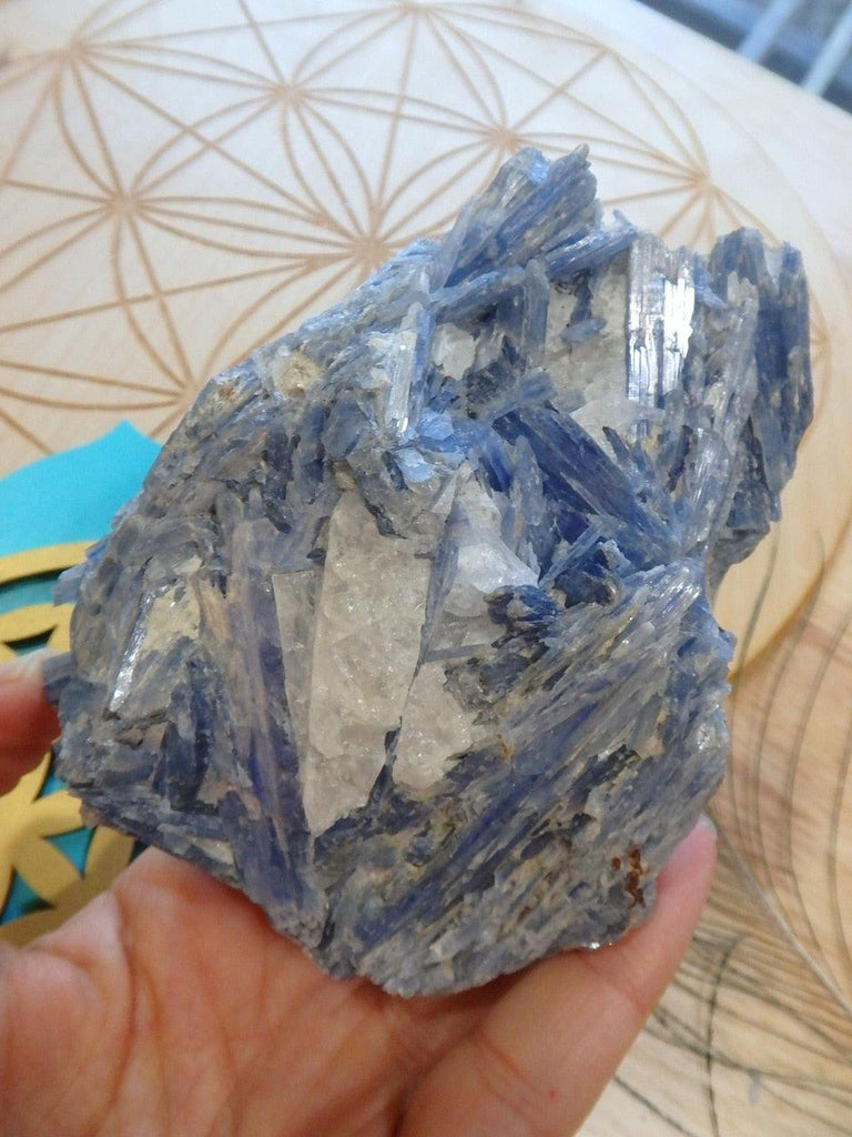 Fascinating Large Blades of Blue Kyanite Cluster From Brazil - Earth Family Crystals