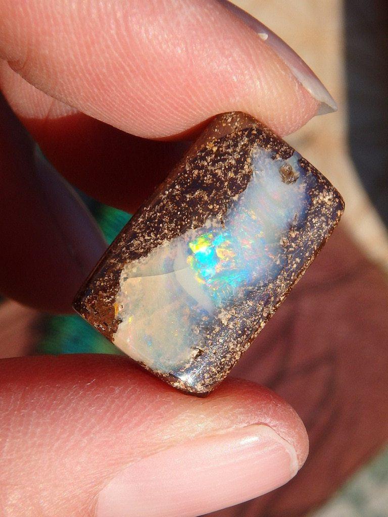 Boulder Opal Cabochon From Australia 3 - Earth Family Crystals