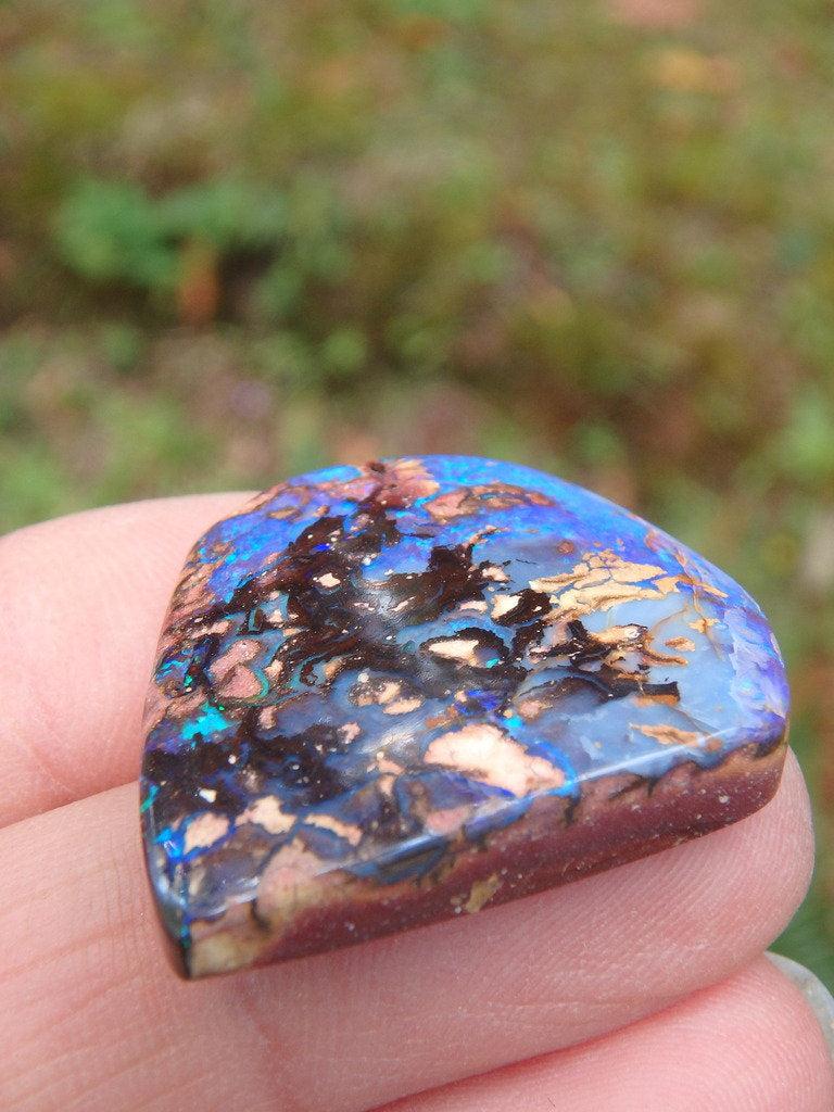 Stunning Flashes Boulder Opal Cabochon From Queensland, Australia - Earth Family Crystals