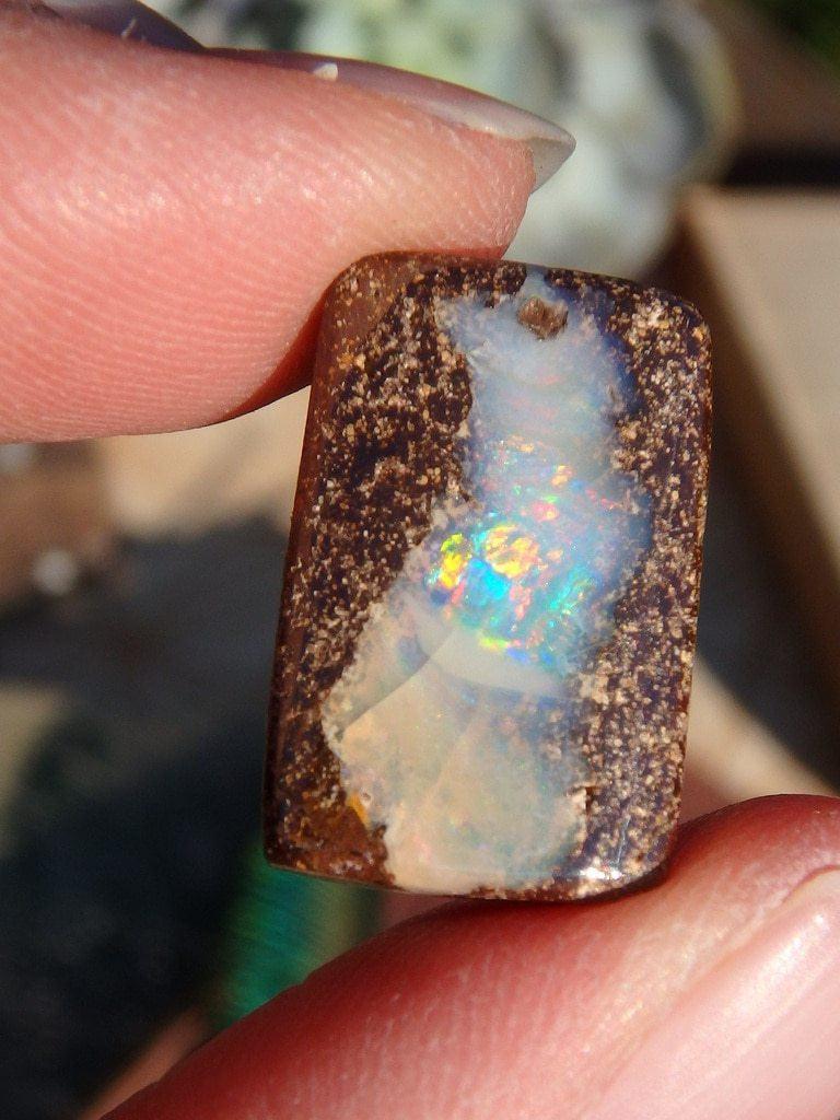 Boulder Opal Cabochon From Australia 3 - Earth Family Crystals