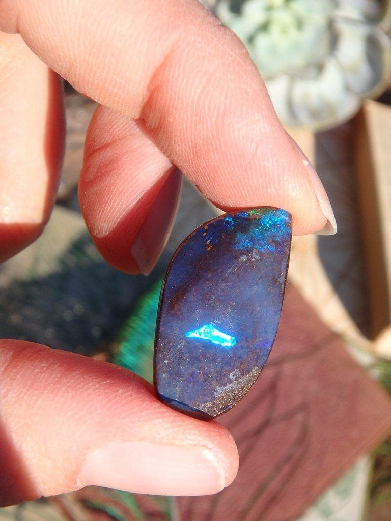 Boulder Opal Cabochon From Australia 1 - Earth Family Crystals
