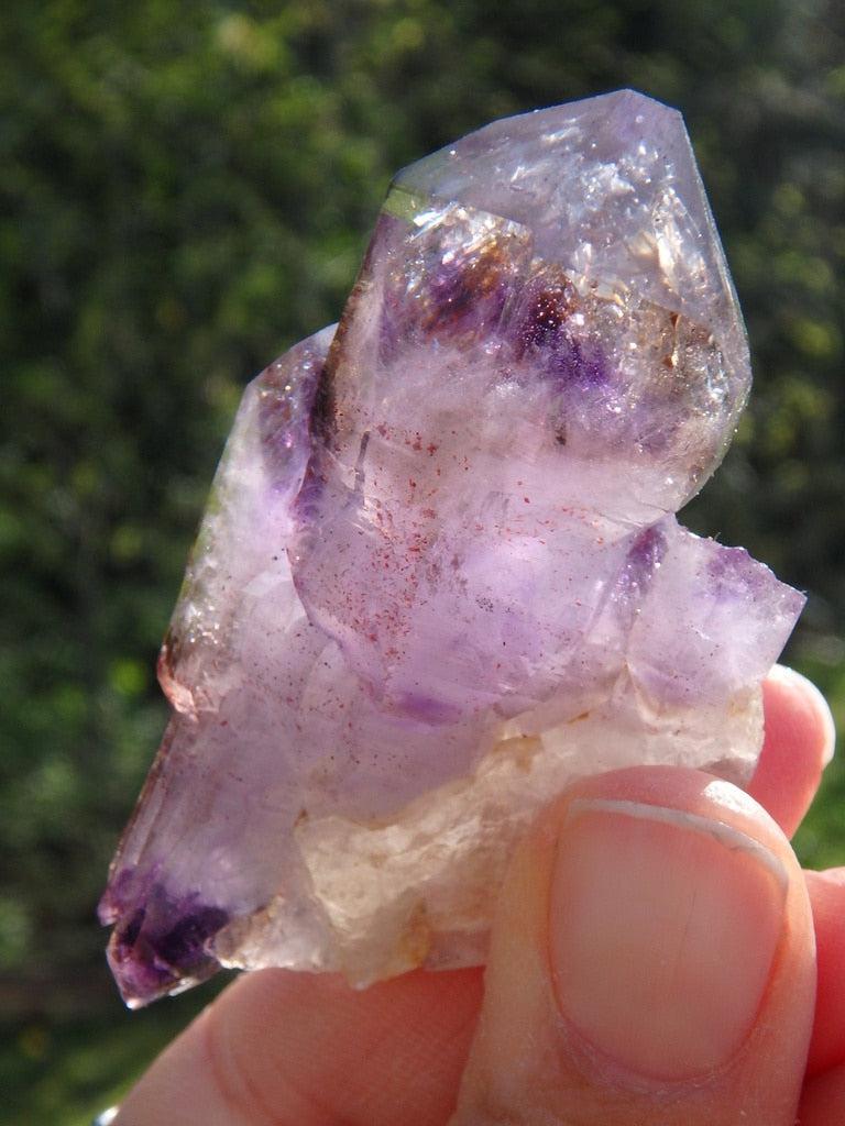 Rare! Brilliant DT  Elestial Brandberg Amethyst Specimen - Earth Family Crystals