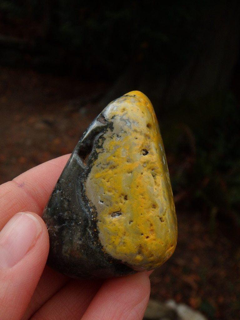 Bold Yellow Polished Bumblebee Jasper Specimen - Earth Family Crystals