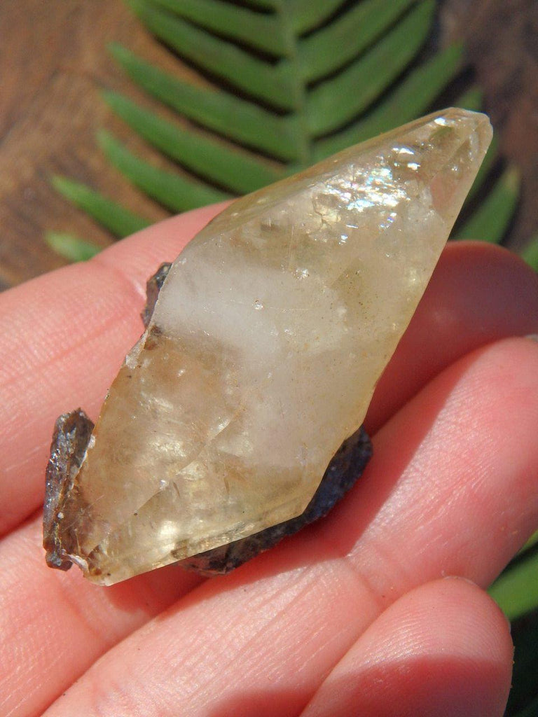DT Gemmy Elmwood Mine Golden Calcite With Burgundy Sphalerite Inclusions - Earth Family Crystals