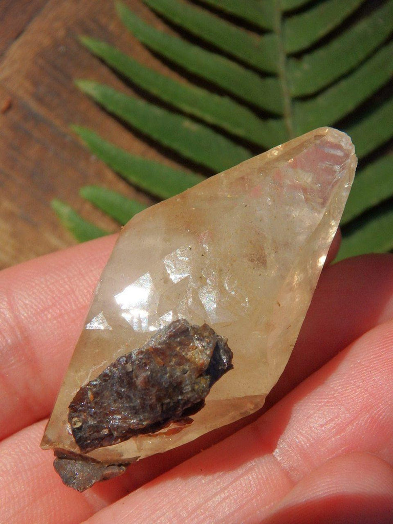 DT Gemmy Elmwood Mine Golden Calcite With Burgundy Sphalerite Inclusions - Earth Family Crystals
