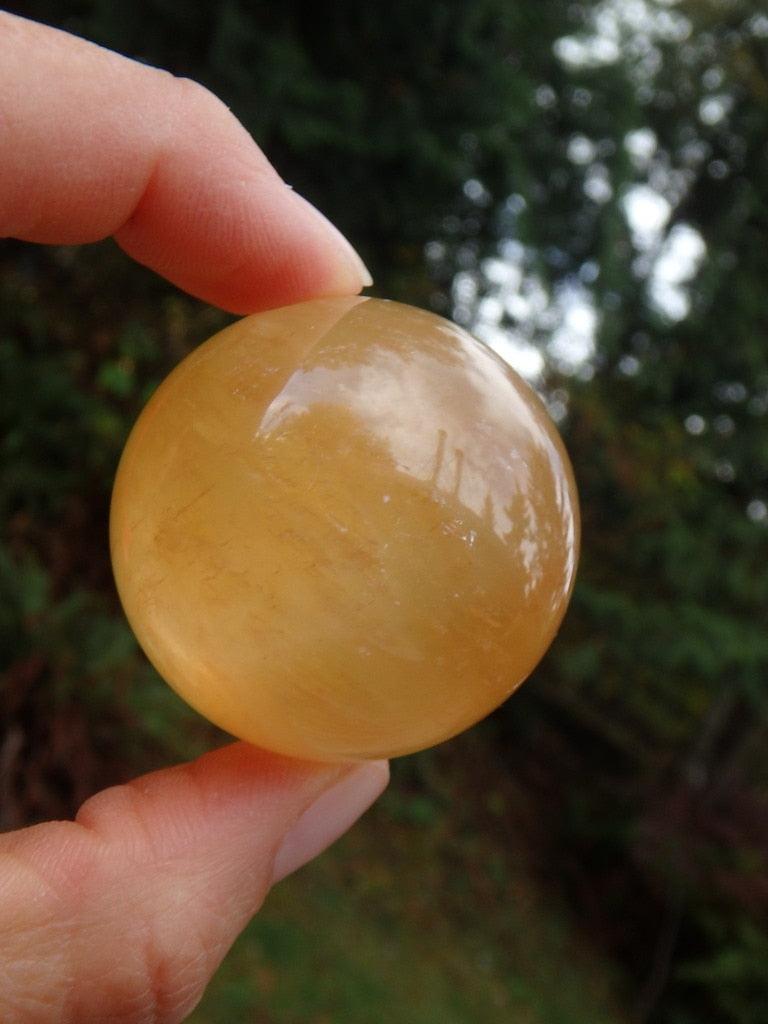Gorgeous Golden Citrine Calcite Sphere 4 - Earth Family Crystals