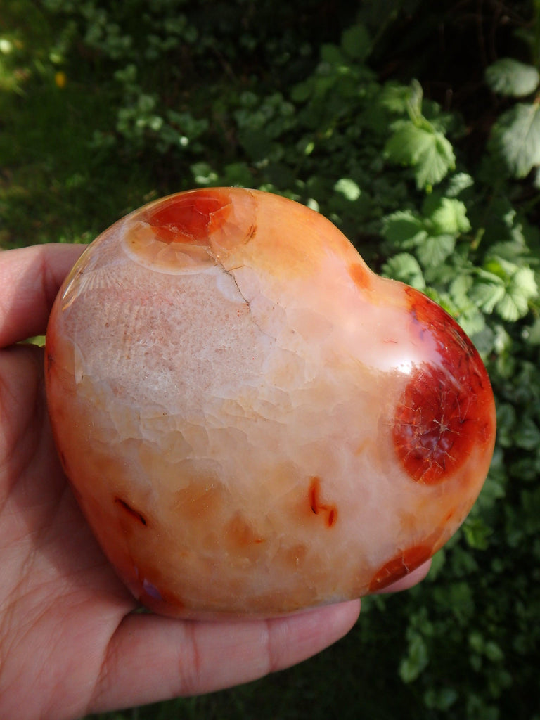 Incredible Colors~Large Carnelian Heart With Deep Druzy Cave From Madagascar - Earth Family Crystals