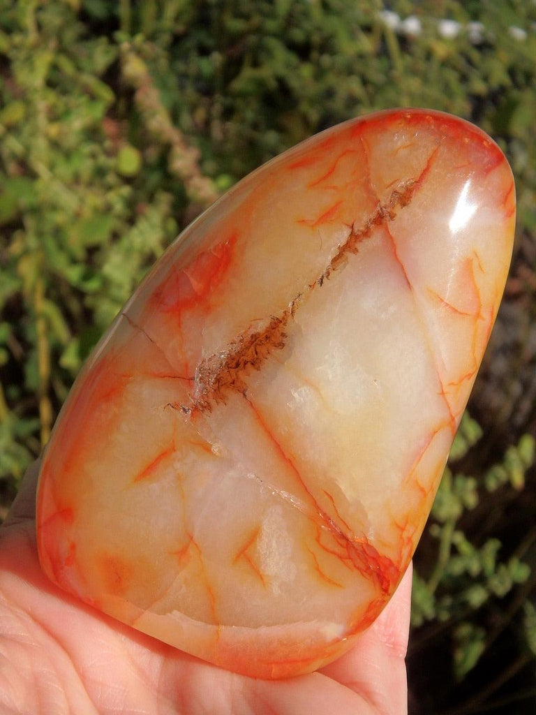 Orange Flame Carnelian Standing Specimen With Caves - Earth Family Crystals