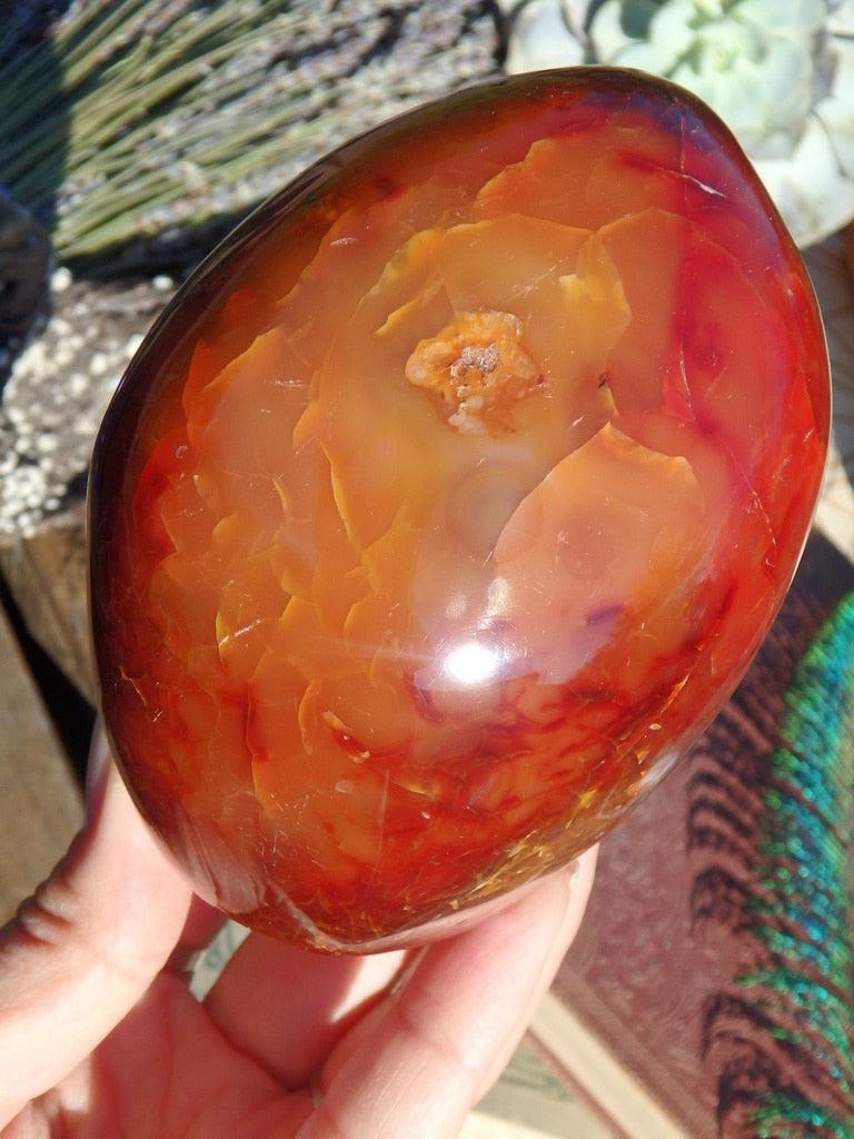 Large Fiery Red & Orange Carnelian Display Specimen - Earth Family Crystals