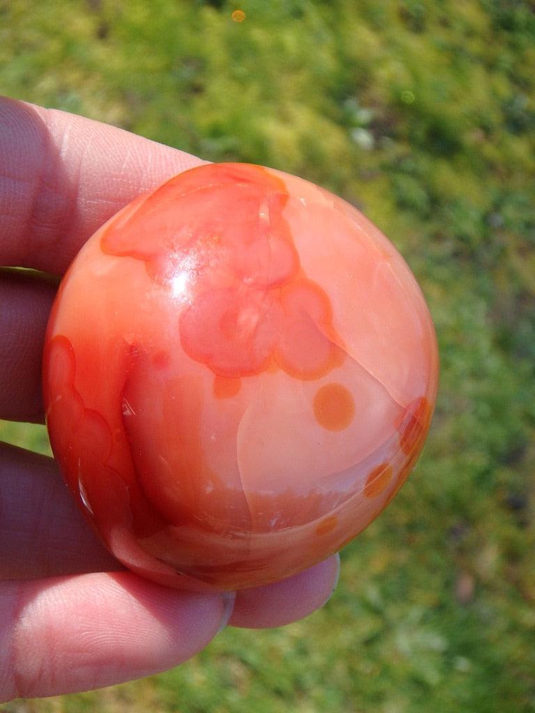 Vibrant Orange Carnelian Polished Hand Held Specimen - Earth Family Crystals