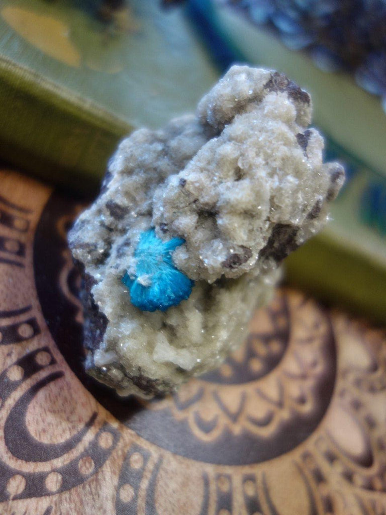 Awesome Electric Blue Cavansite Nestled In Matrix From India - Earth Family Crystals