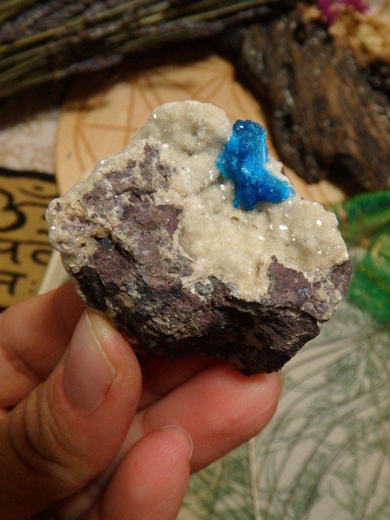 Electric Blue Cavansite Cluster on Matrix From  India - Earth Family Crystals
