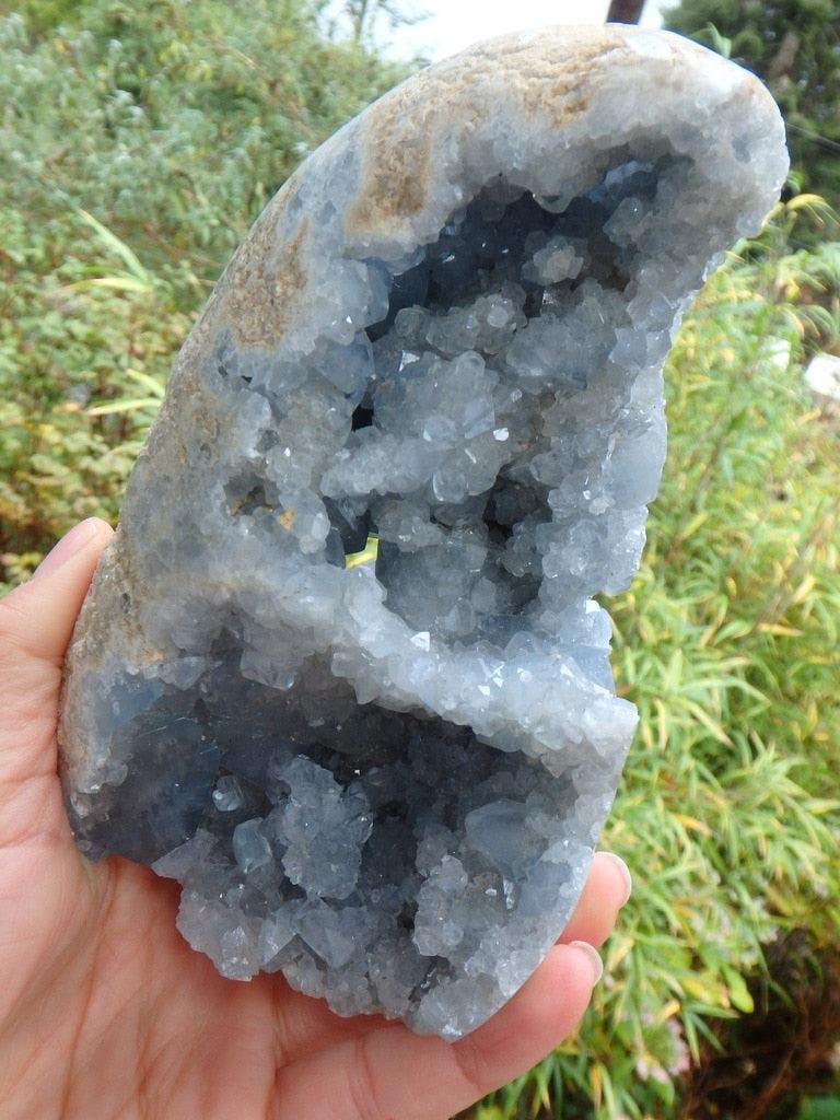 Large Soft Blue Celestite Display Specimen - Earth Family Crystals