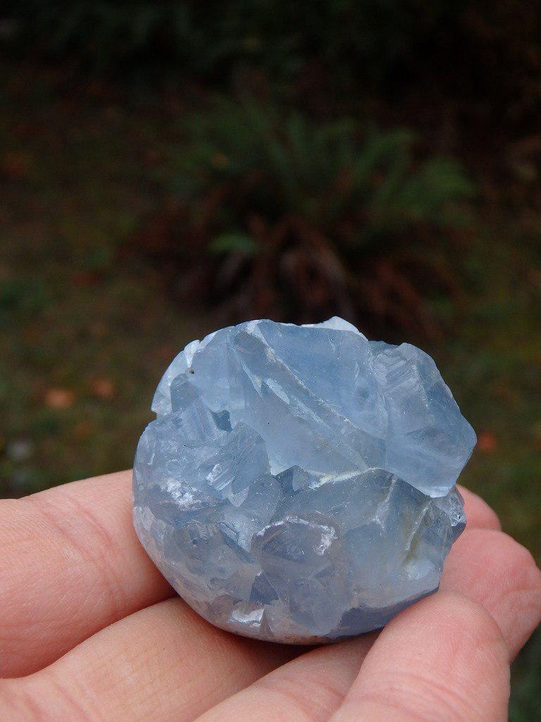 Super Cute Mini Blue Celestite Sphere - Earth Family Crystals
