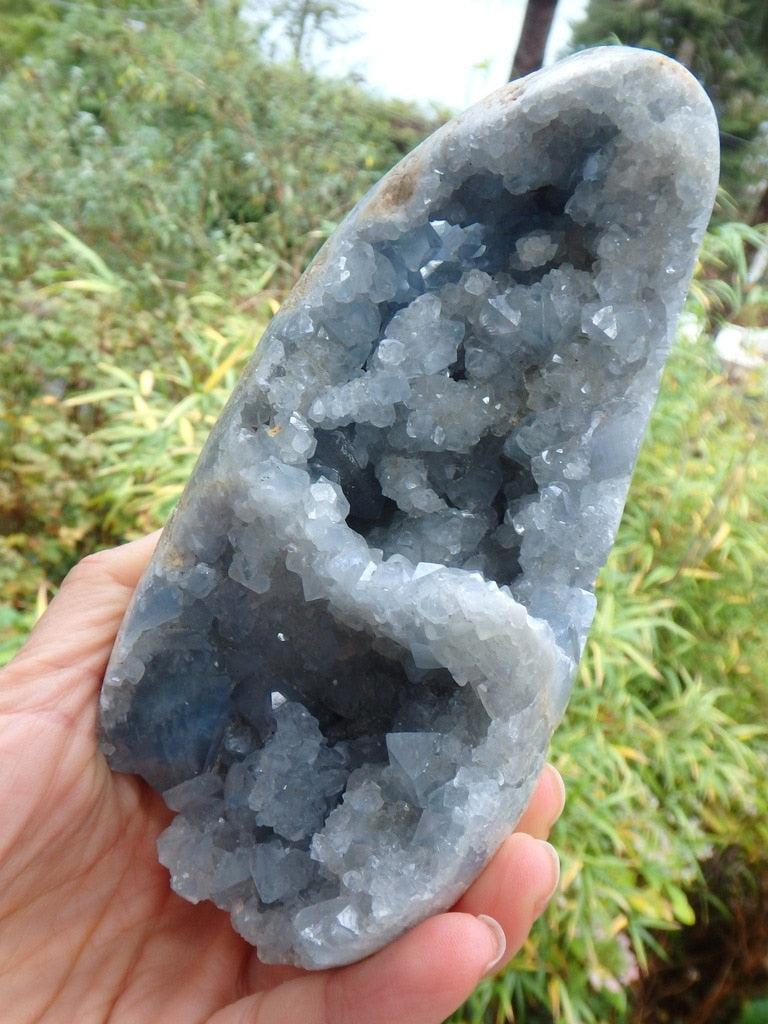 Large Soft Blue Celestite Display Specimen - Earth Family Crystals