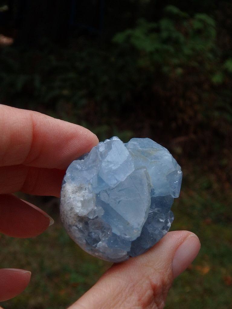 Super Cute Mini Blue Celestite Sphere - Earth Family Crystals