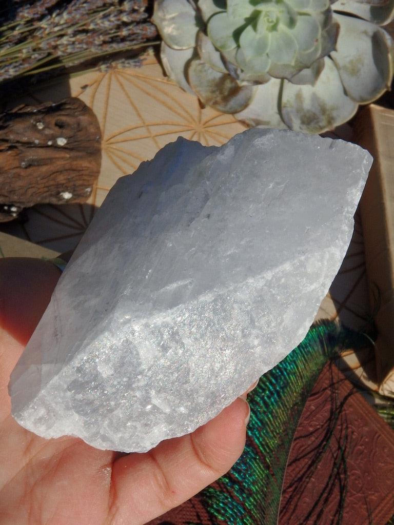 Large High Vibration Ohio Celestite Specimen 1 - Earth Family Crystals