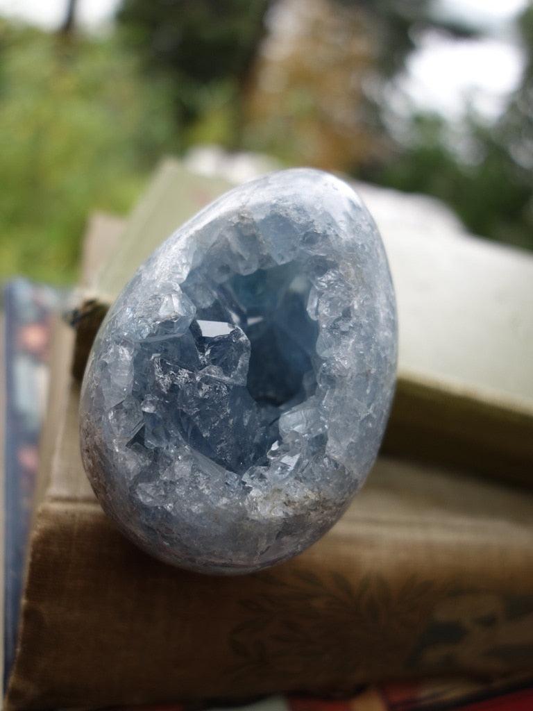 Super Sparkle! Deep Blue Druzy Caves Celestite Egg Carving Geode - Earth Family Crystals