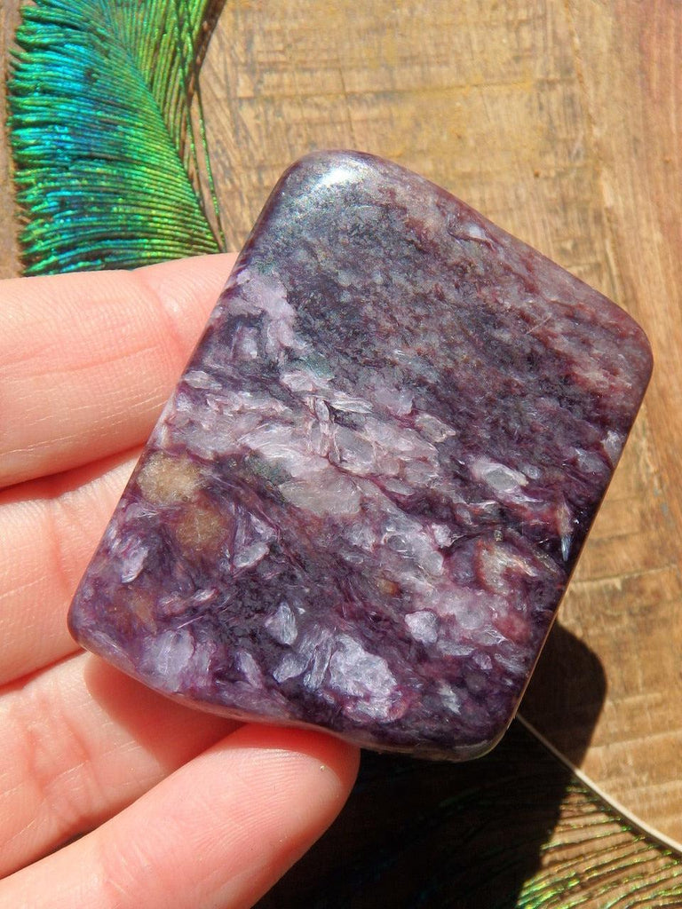 Gorgeous Deep Purple Contrast Flat Charoite Hand Held Specimen (Perfect for Body Layouts) - Earth Family Crystals