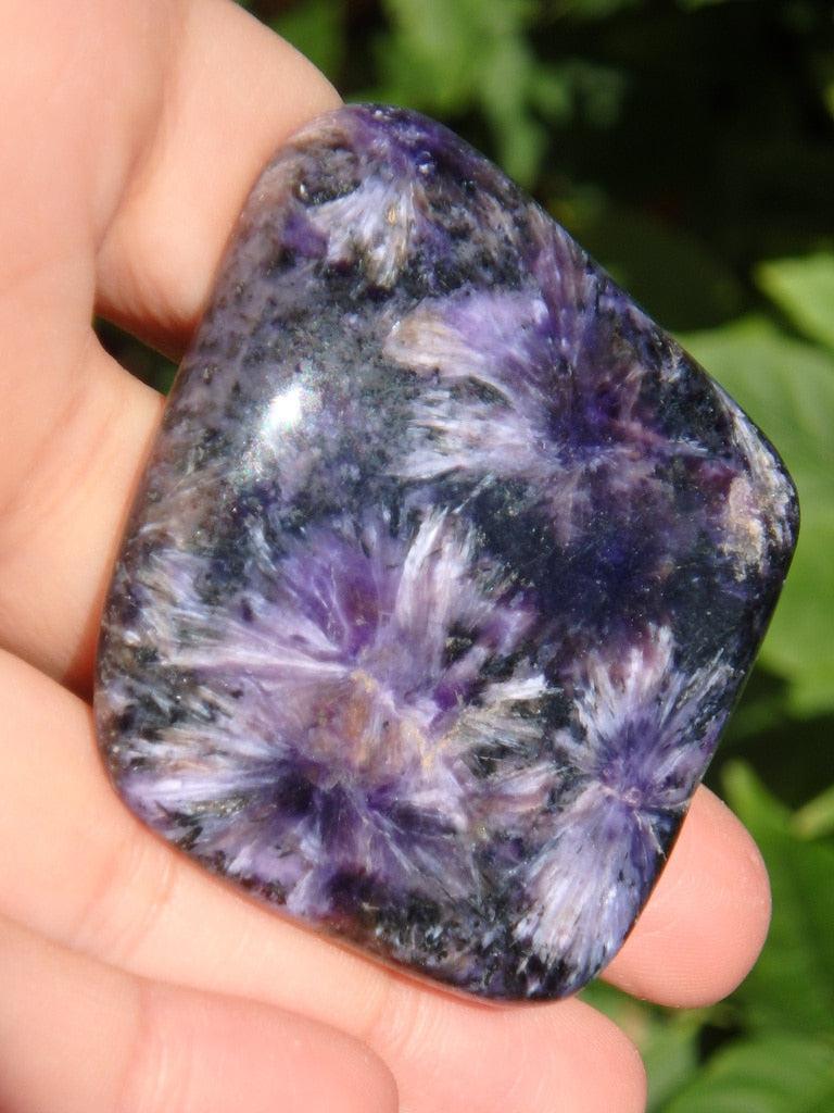 Outstanding Purple Fireworks Patterns Charoite Specimen - Earth Family Crystals